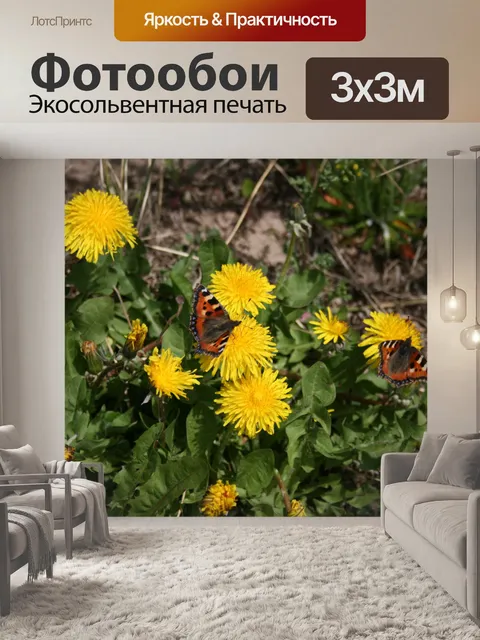 Фотообои Два красных адмиралов на Одуванчики