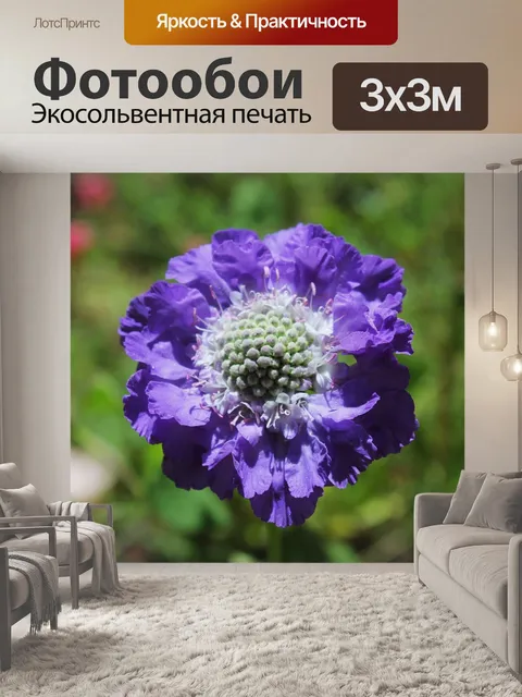 Фотообои Цветок