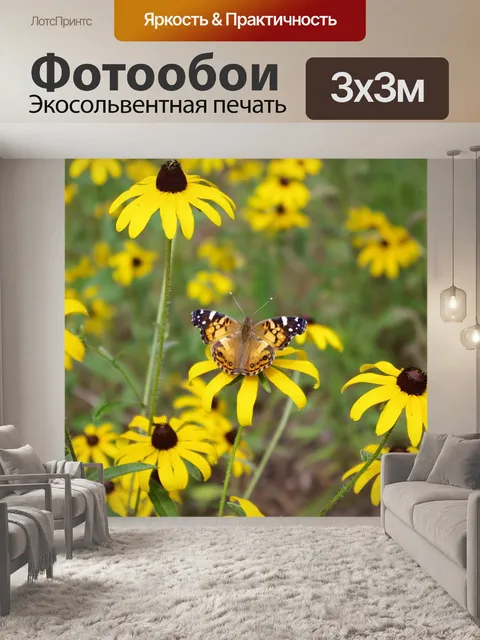 Фотообои Бабочка на черноглазая сьюзен