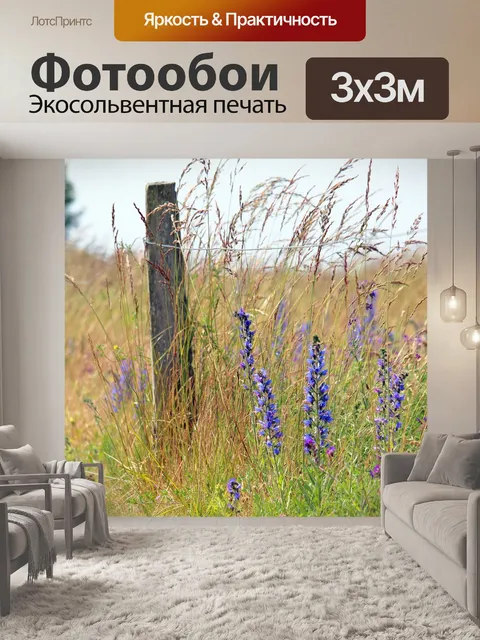 Фотообои Грязная дорога