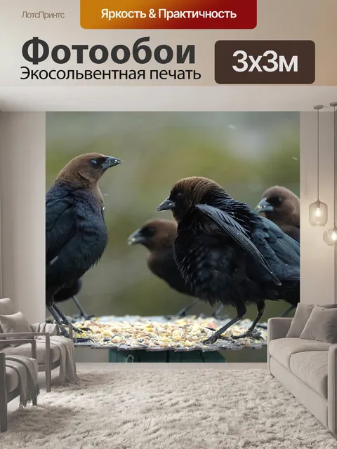 Фотообои Птицы