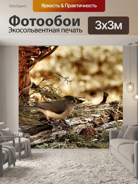 Фотообои Тупированная синица зимой