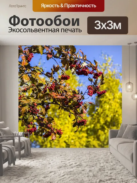 Фотообои Рябина