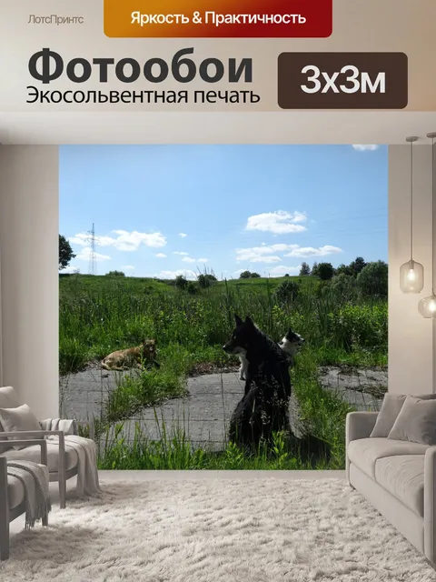 Фотообои Собаки на прогулке