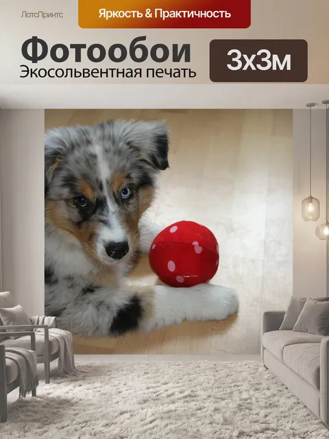 Фотообои Щенок