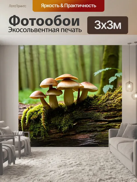 Фотообои грибы, растущие на старом бревне, покрытом мхом и лишайниками, в светлом лесу
