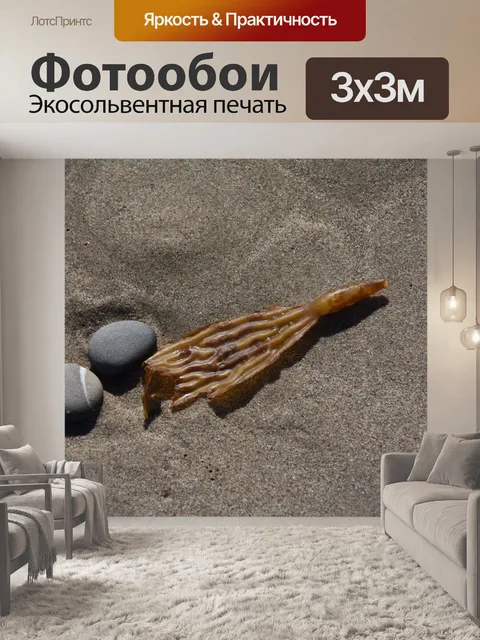Фотообои водоросли и камни