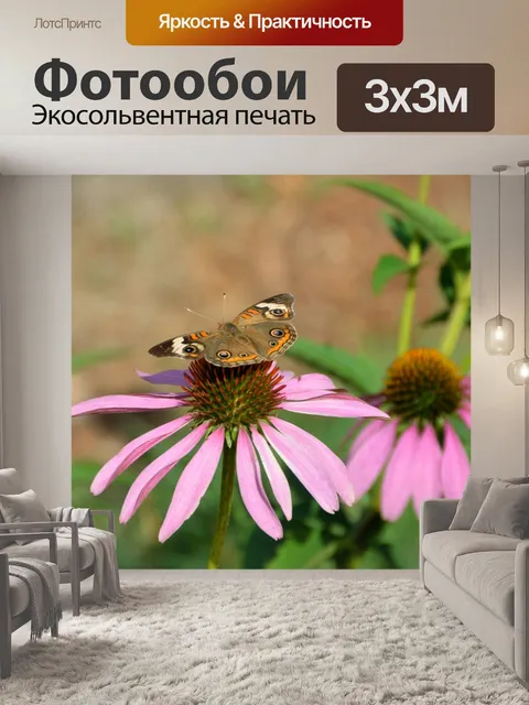 Фотообои Конус Цветок