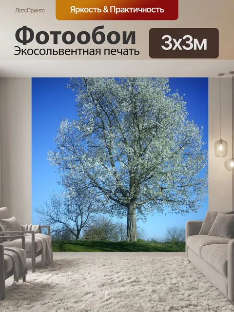 Фотообои Дерево