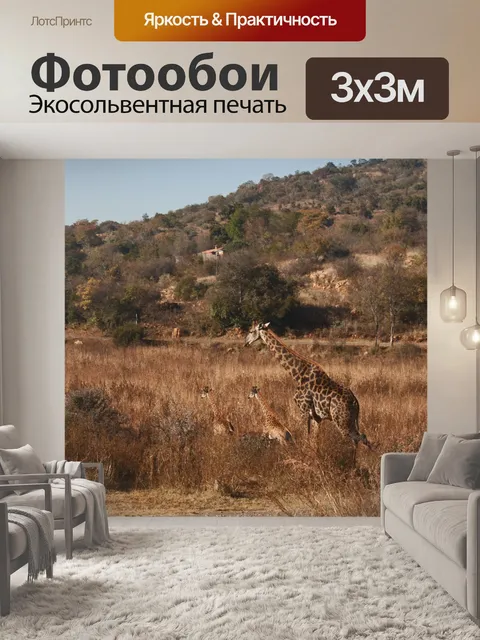 Фотообои взрослый и два молодых жирафа