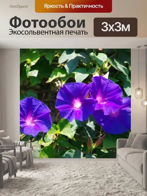 Фотообои Волюбилис