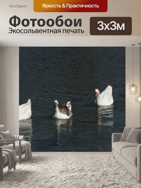 Фотообои Ducks