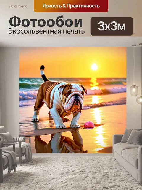 Фотообои изобразите английского бульдога, играющего с мячом на пляже во время заката