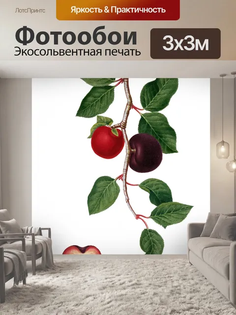 Фотообои Абрикос Фрукты Винтаж Искусство