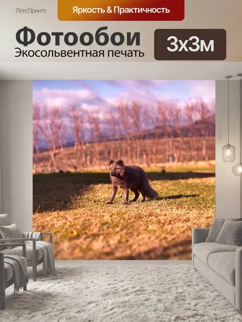 Фотообои Животное