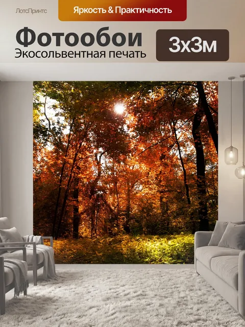 Фотообои Осенний лес деревья пейзаж