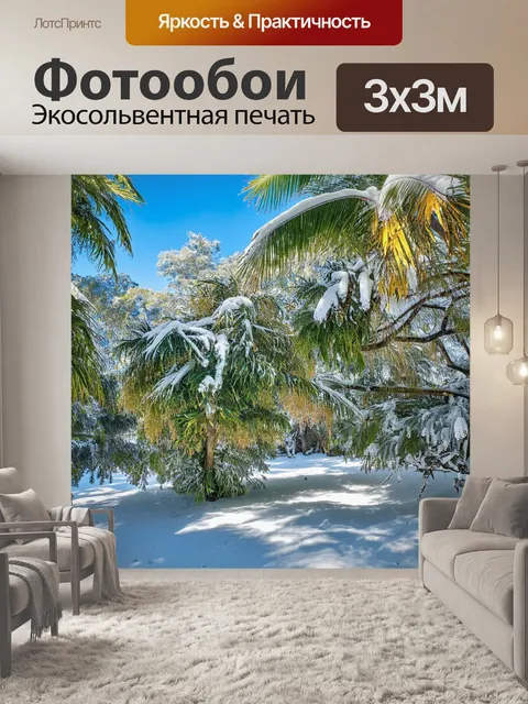 Фотообои тропические снеги, укрывающие оказавшиеся в тропиках деревья и экзотические растения, создавая удивительную…