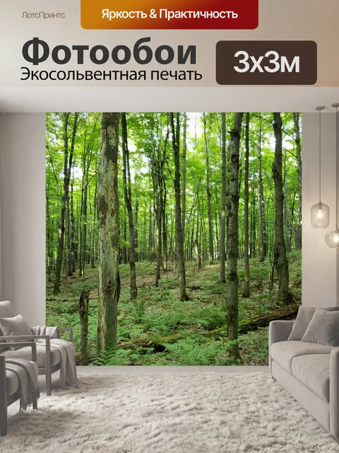 Фотообои Лесные деревья летом
