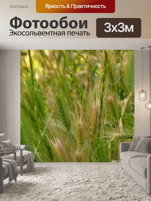 Фотообои Колоски