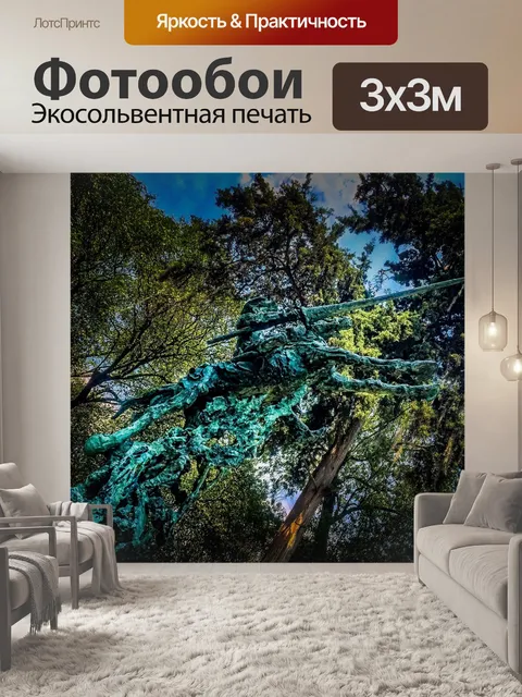 Фотообои Лес