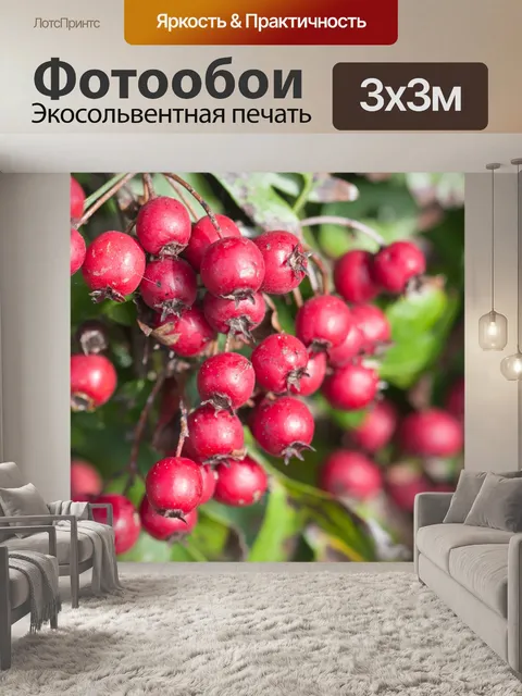 Фотообои Красные ягоды Макро