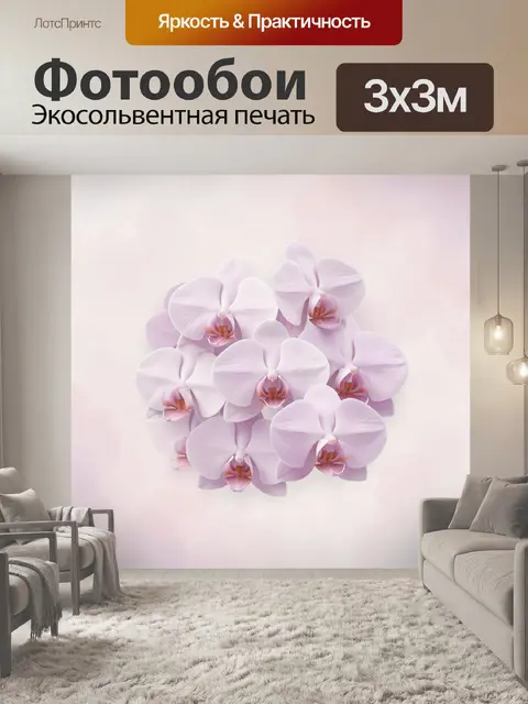 Фотообои Пышные бело-фиолетовые орхидеи