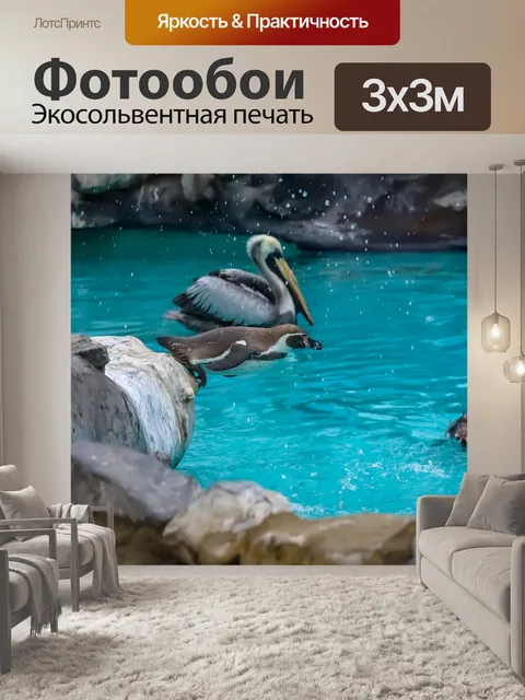 Фотообои Пингвины