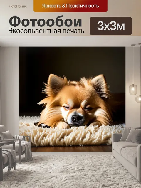Фотообои промт: спящий карликовый шпиц на мягком ковре в комнате с низким освещением