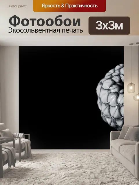 Фотообои Семя