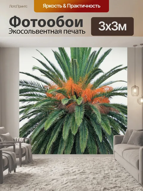 Фотообои финиковая пальма, декоративные