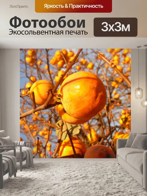 Фотообои Хурма