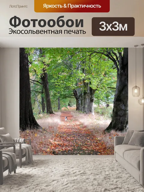 Фотообои Аллея