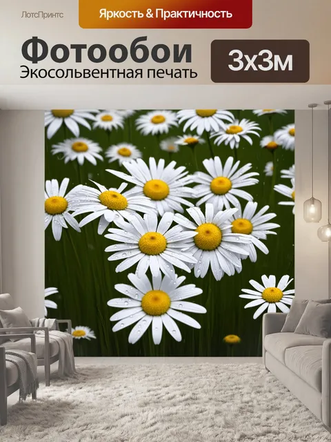 Фотообои мокрое после дождя поле ромашек, с каплями влаги, стекающими по лепесткам