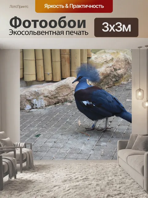 Фотообои Птица