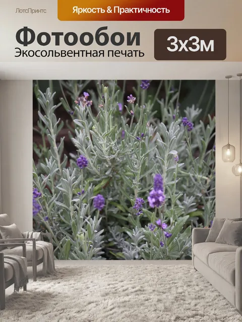 Фотообои Лаванда