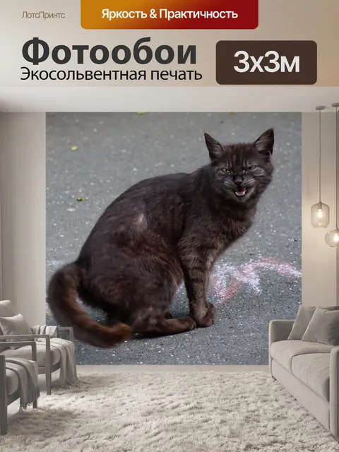 Фотообои Кот