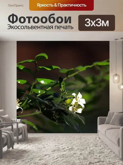 Фотообои цветение муррая экзотика