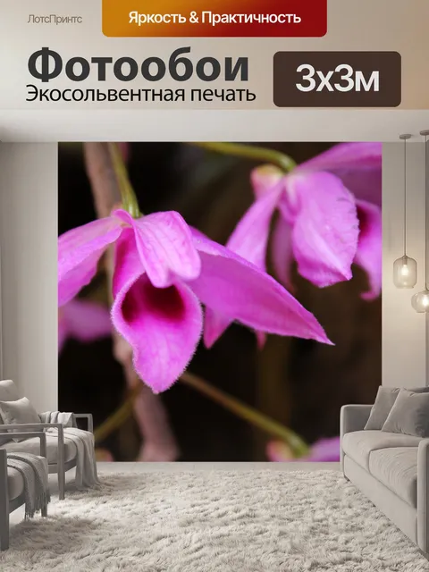 Фотообои Орхидеи в моем дворе 2