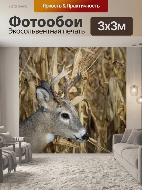 Фотообои Белый хвост