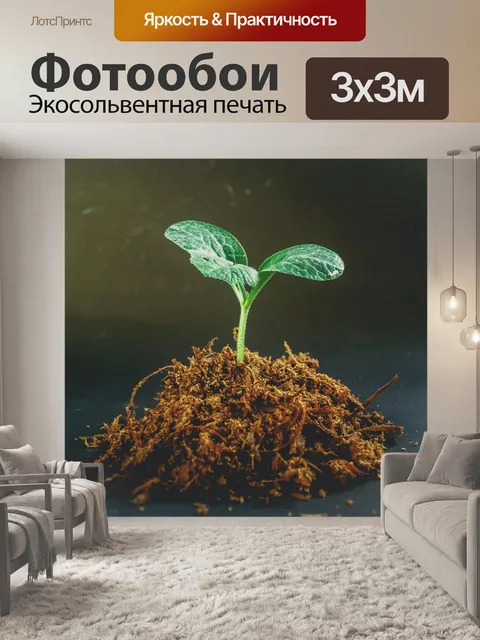 Фотообои Молодой завод деревьев
