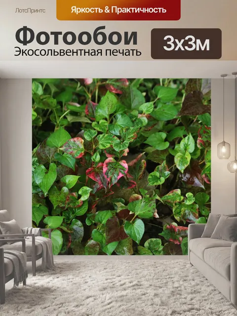 Фотообои Завод хамелеона полный кадр