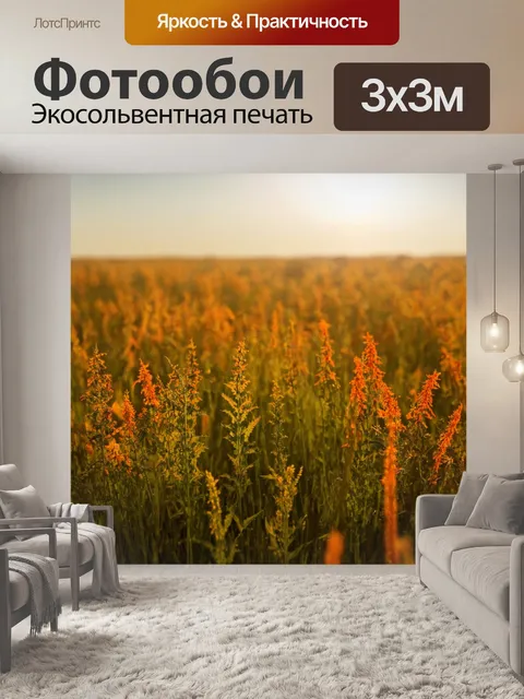 Фотообои поле, пронизанное лучами утреннего солнца, где каждое растение помогает создать неповторимую симфонию цвета