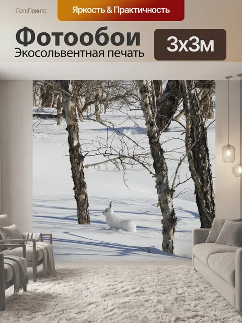Фотообои Заяц