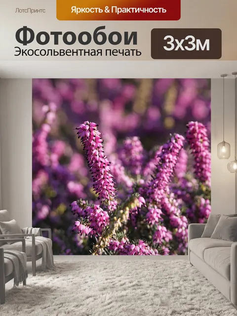 Фотообои Вереск