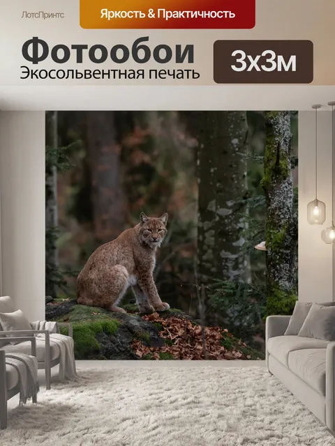 Фотообои Рысь