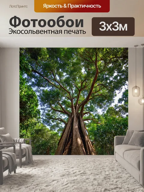 Фотообои тропики, старые деревья с густыми кронами, звуки дикой природы, свет пробивается сквозь листву, ощущение…