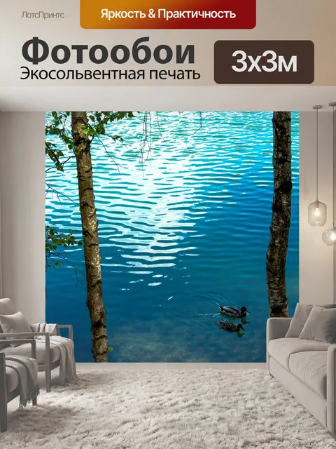Фотообои Дикие утки