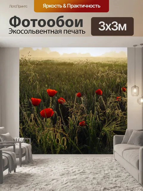 Фотообои Маки поле васильки луговой