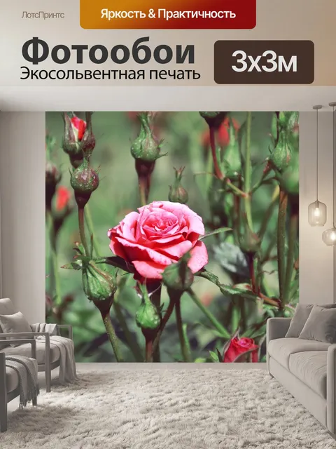 Фотообои Цветы