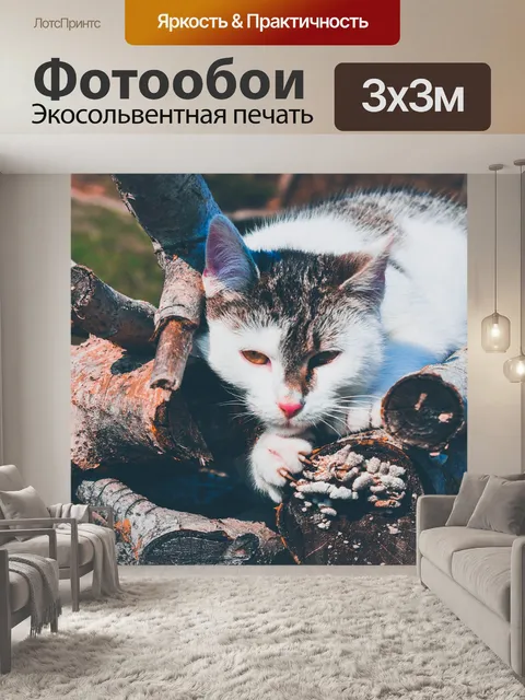 Фотообои Кошка